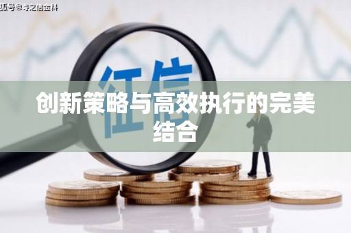 麻城创新策略与高效执行的完美结合