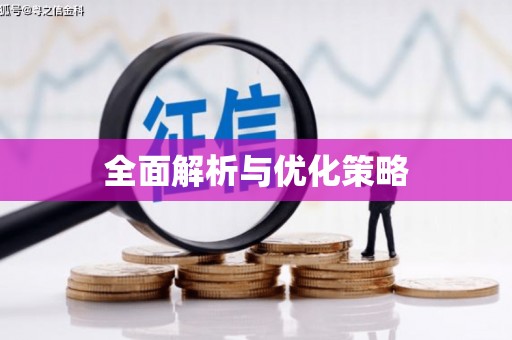 麻城全面解析与优化策略