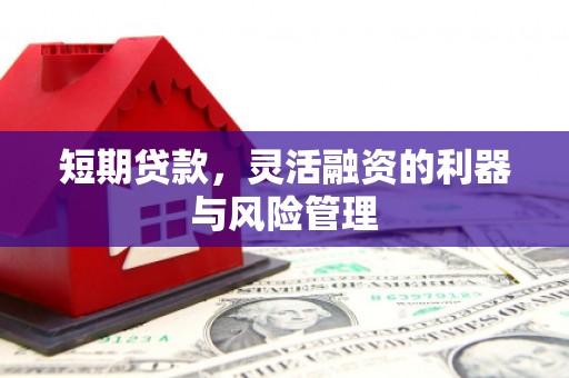 麻城短期贷款，灵活融资的利器与风险管理