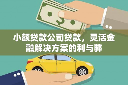 麻城小额贷款公司贷款，灵活金融解决方案的利与弊
