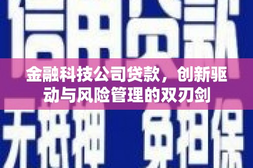 麻城金融科技公司贷款，创新驱动与风险管理的双刃剑